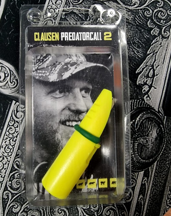 2-scaled.jpg