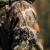 kurtka-pinewood-furudal-retriever-active-camou-5680-2.jpg
