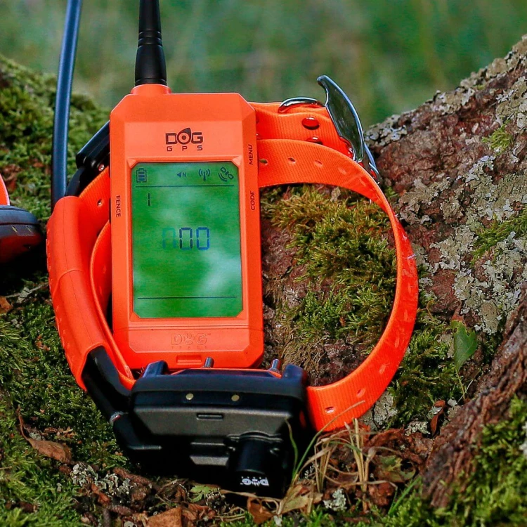 urzadzenie-poszukiwawczo-treningowe-z-lokalizatorem-dzwiekowym-dog-gps-x30tb__mi001-2375.jpg