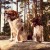 urzadzenie-poszukiwawczo-treningowe-z-lokalizatorem-dzwiekowym-dog-gps-x30tb__mi001-1955.jpg