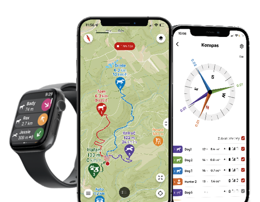 dog_gps.png